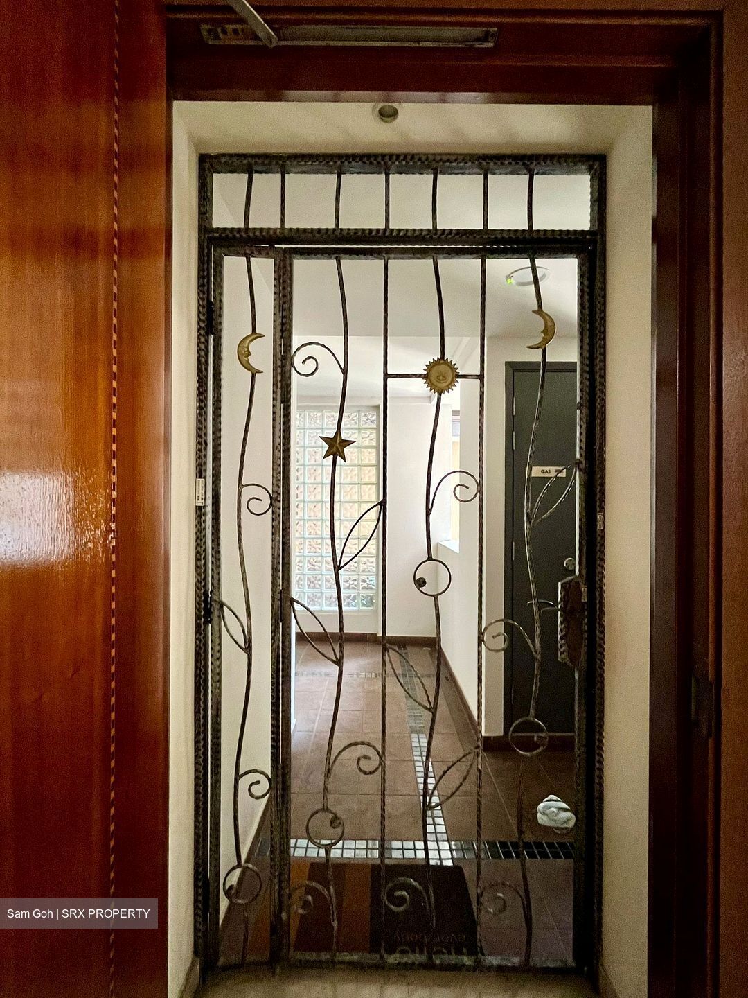 Carissa Park Condominium (D17), Condominium #558810191